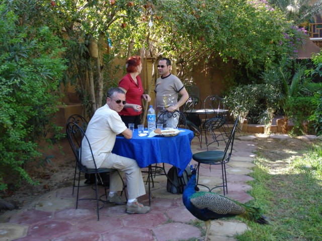 28_3 Zagora Chez Ali.jpg